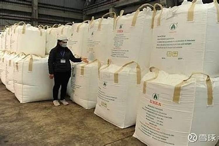 越南一般都大量进口什么物品