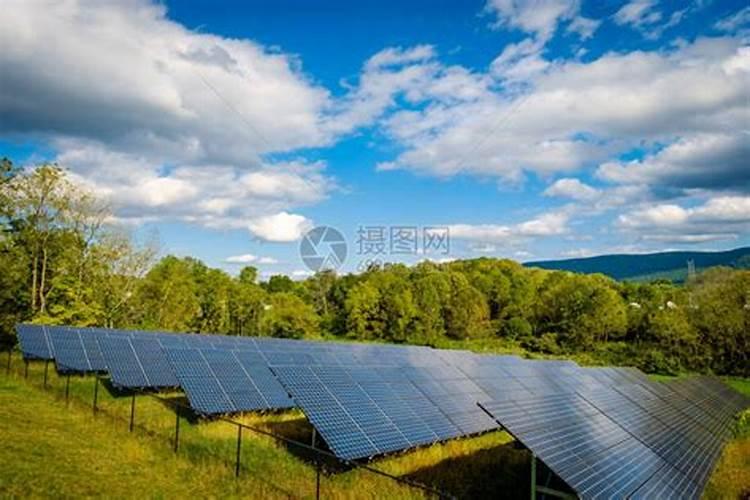 什么情况下需要喷叶面肥 绿植叶面肥施用指南