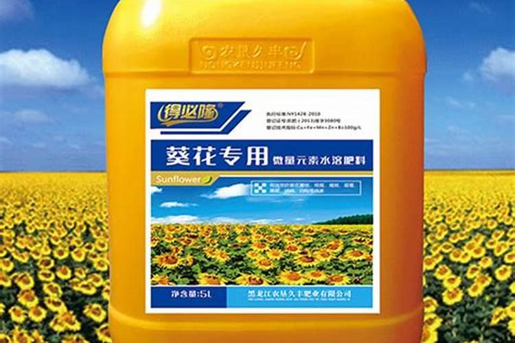冲施肥过量的危害