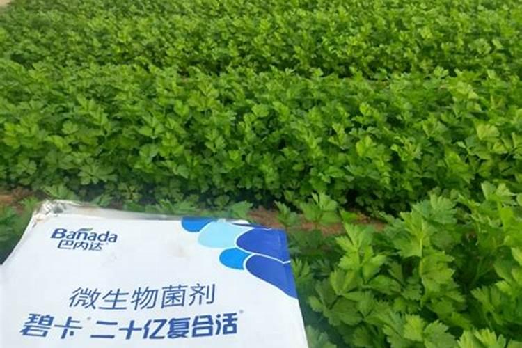 多菌灵可以浇葡萄吗
