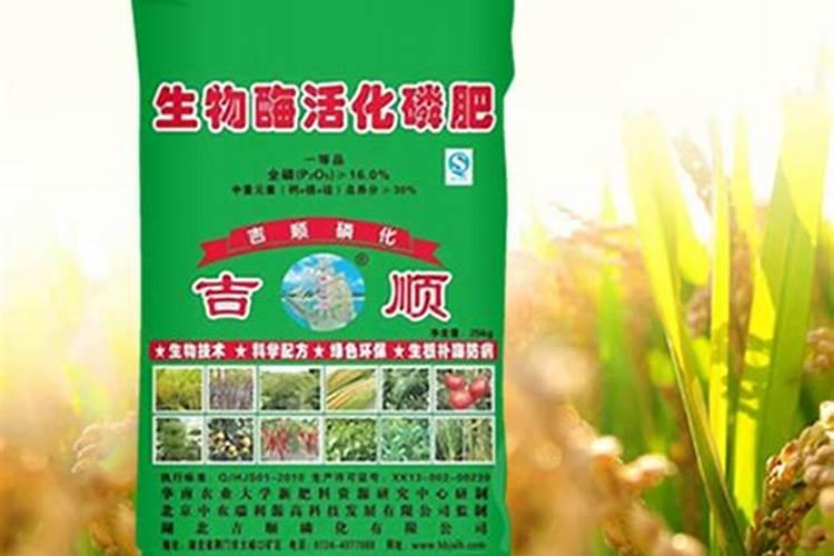 艾叶碳的功效,平常可以喝吗
