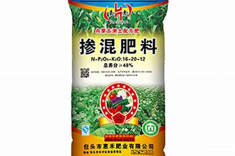 龙爪开花了能卖多少钱？
