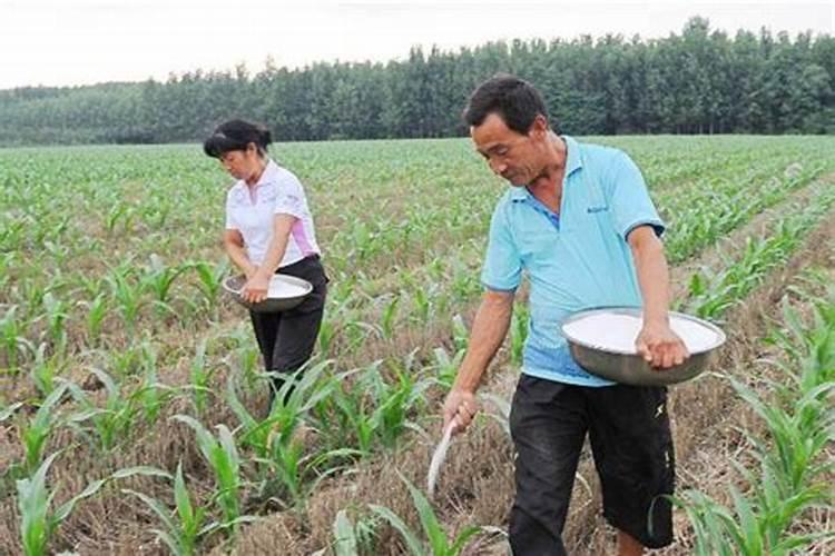 腐殖酸钠和腐植酸钠是不是同一种东西？如果不是,有什么区别？