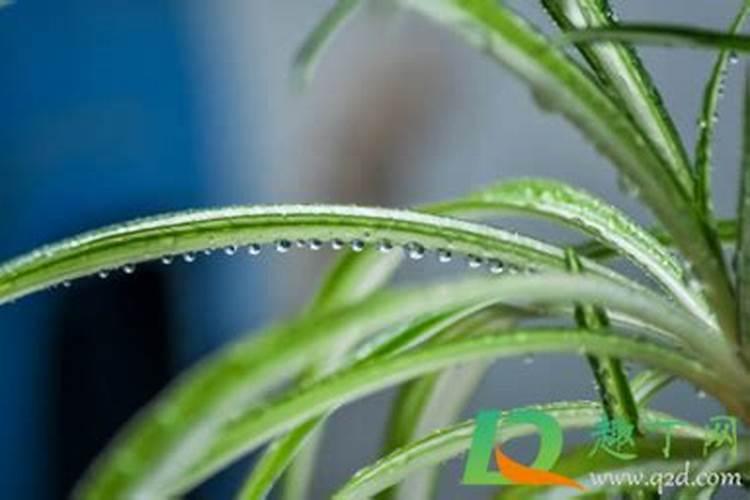 注射用门冬氨酸钾镁的效果