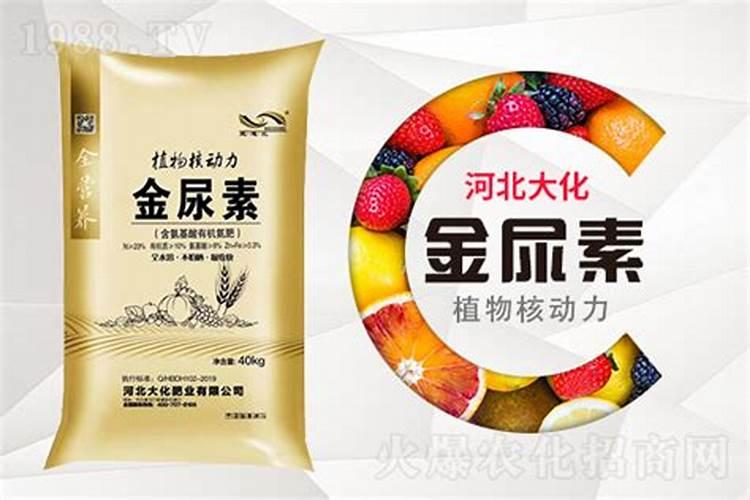 鸭掌木春天淋雨水好吗