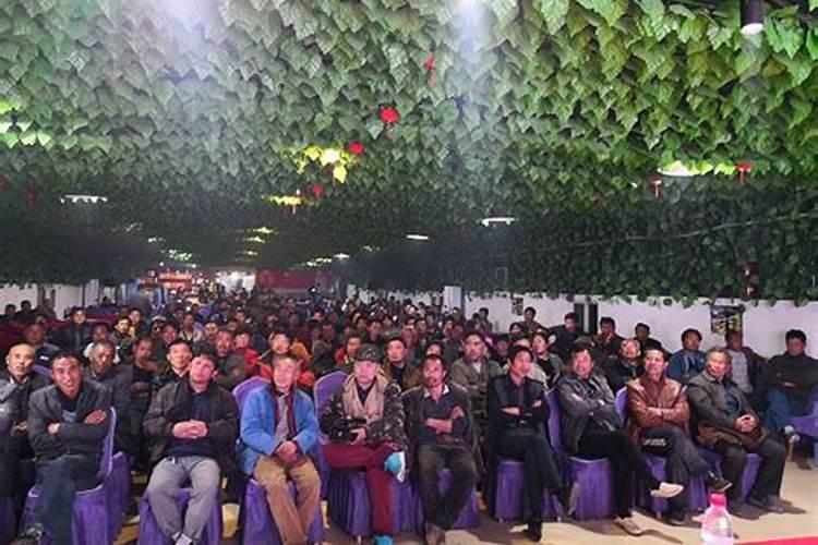 果树用什么肥料最好
