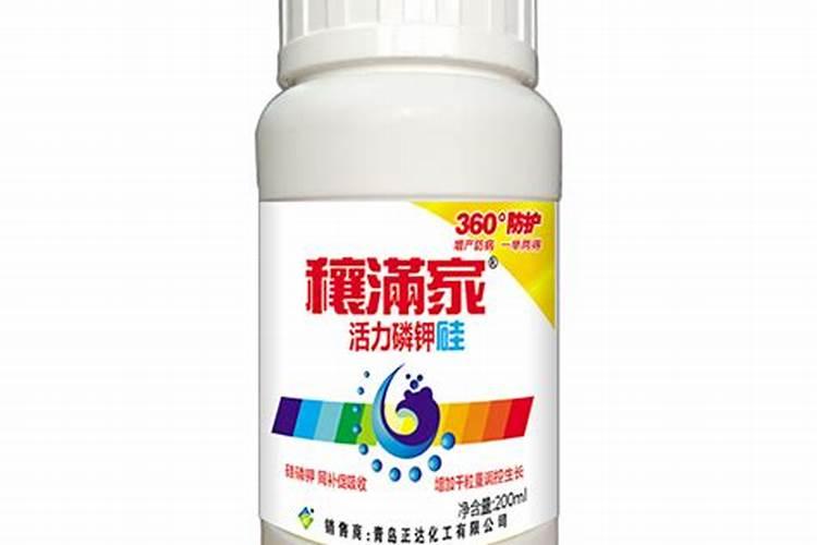 月季用什么肥料效果好