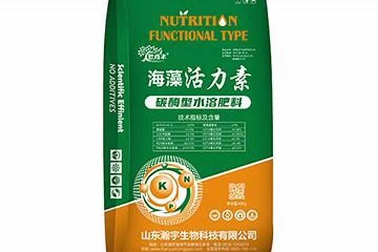 月季花防虫都有哪些方法