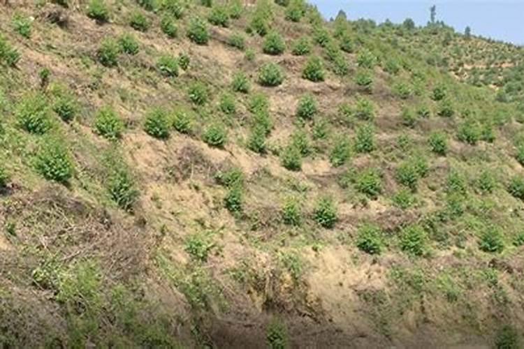 烟台蓝得生物科技有限公司怎么样？