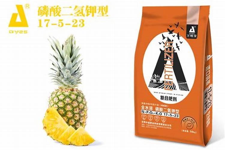 菠萝催花时间和方法