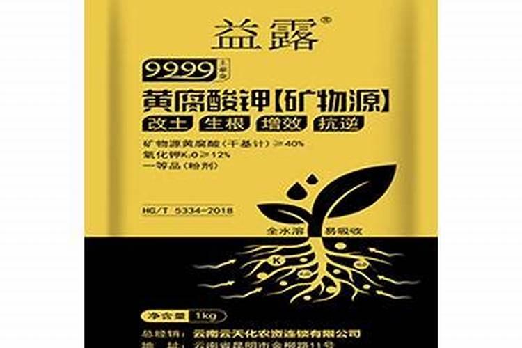 草莓喜欢酸性还是碱性土壤,草莓生长环境的介绍