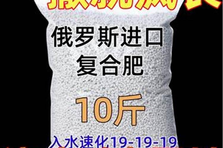 俄罗斯是我国第十大贸易伙伴,我国进口、出口了哪些产品？