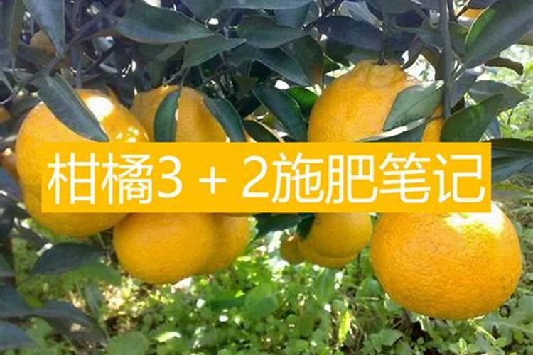 柑橘生长需要哪些肥料(橘子全年科学施肥时期和方案)