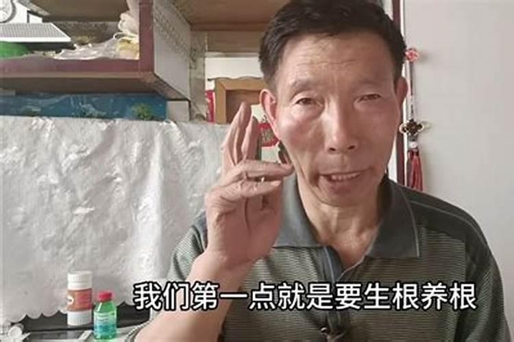 长寿冠海棠花的养殖方法和注意事项
