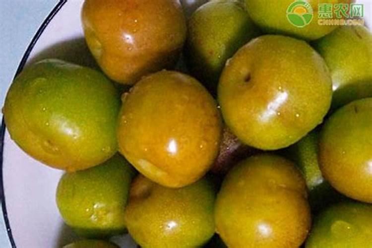 李子树用什么肥料最好,李子树苗施什么肥料比较好
