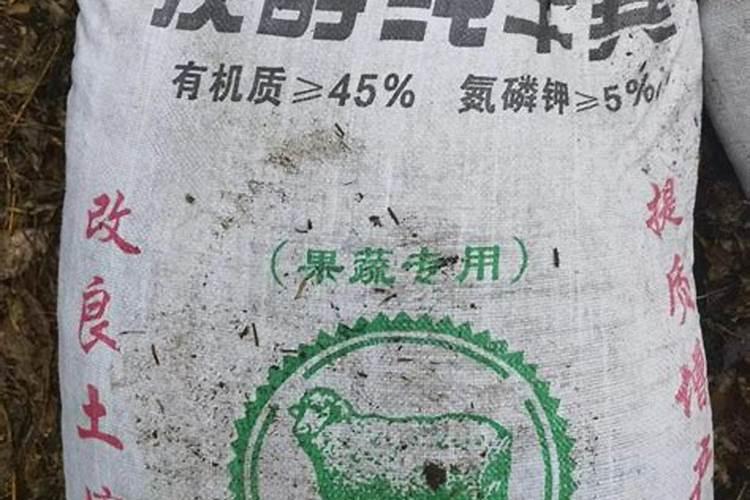 种辣椒用什么肥料比较好 如何施肥效果最好