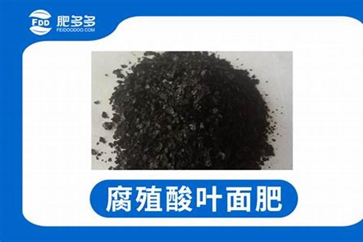 柑橘施什么肥可以增加甜度