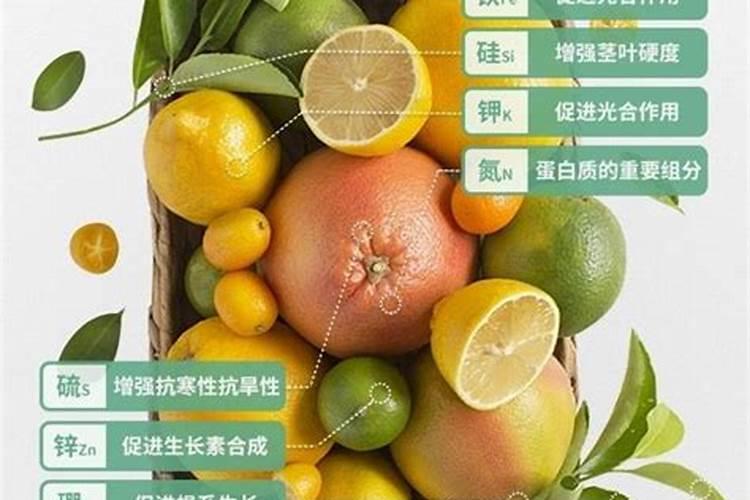 果树用什么水溶肥效果好