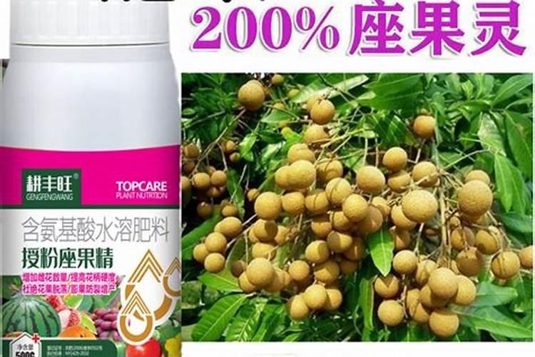 硼肥是什么肥料
