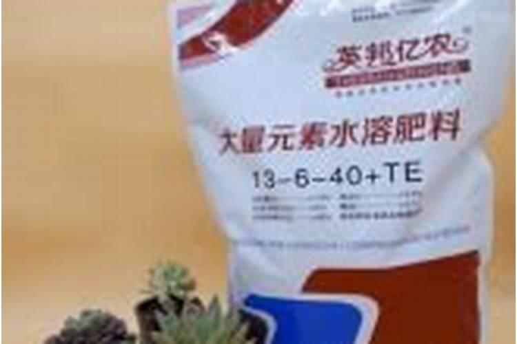 甘蔗春季管理很关键,甘蔗春季怎么管理？