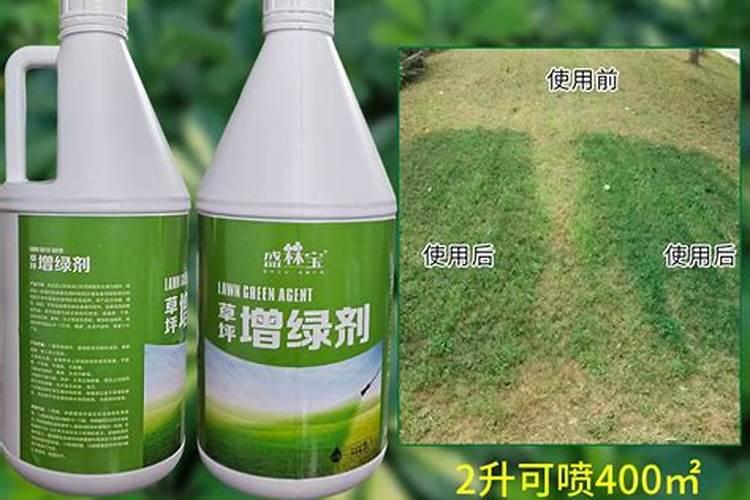 西撒哈拉矿产资源储量？