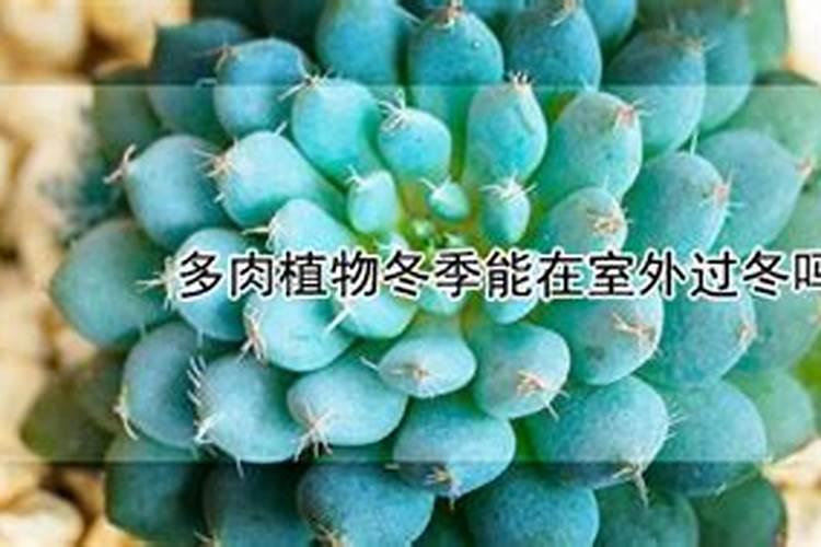 磷肥有哪些作用