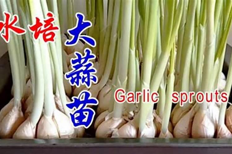 生物有机肥一亩地用多少