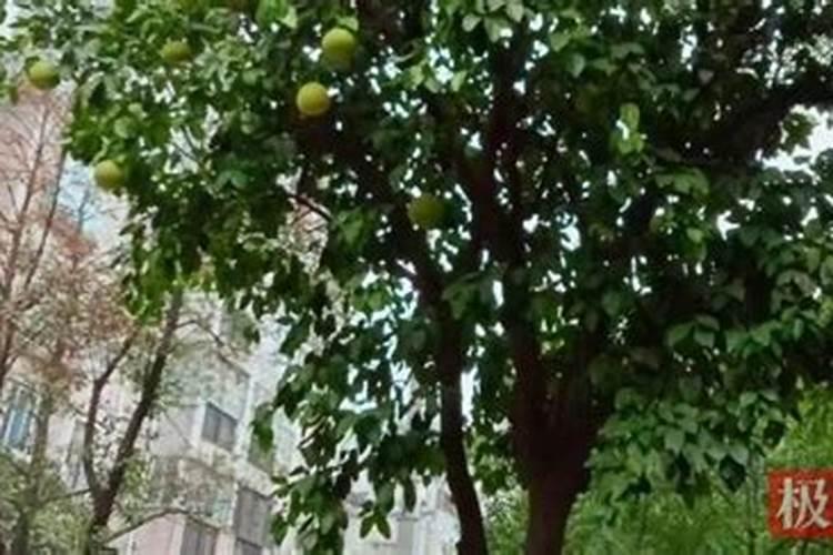 大豆快成熟的时候能浇水么？