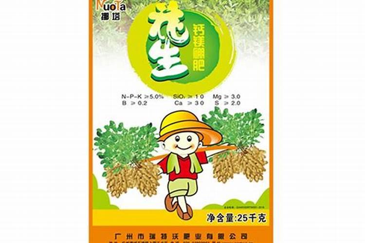 什么时候给杜鹃花喷叶面肥合适？