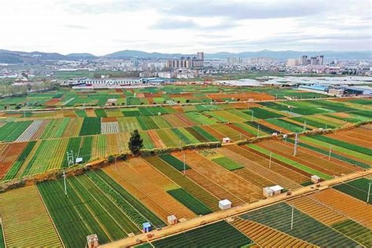 全国各种茶叶的产地