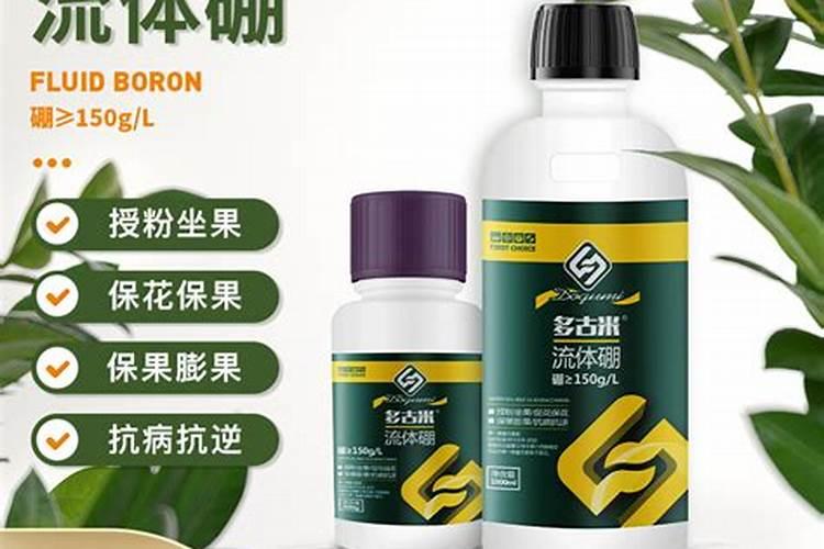 农民种植桃树,冬季不抗冻,怎样管理桃树安全越冬？