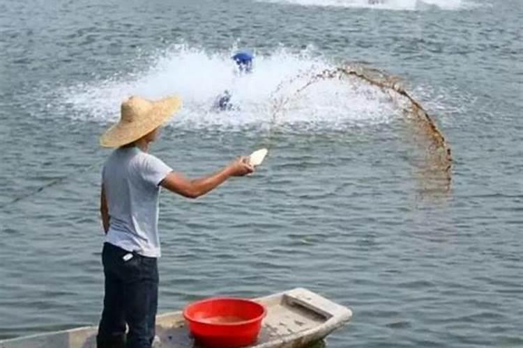 浙江十大花卉批发市场 浙江花卉批发市场在哪里 浙江批发花卉哪里便宜...