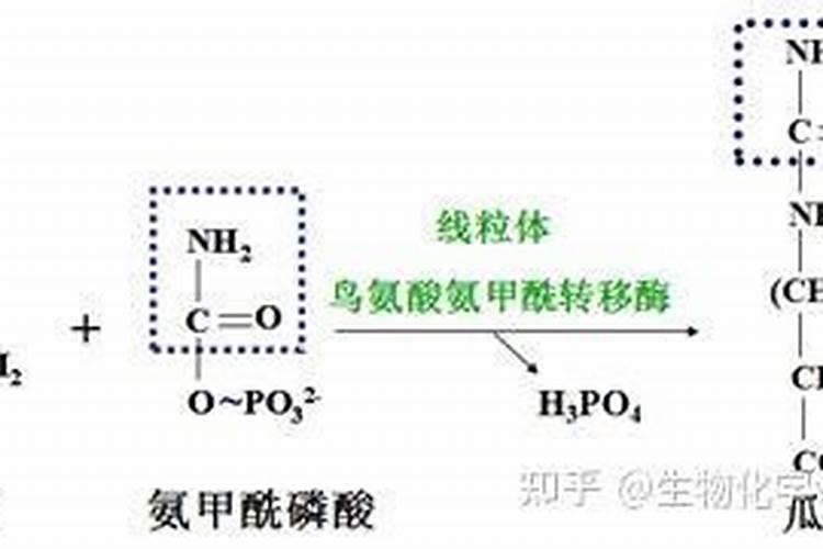 脲铵氮肥的肥效期多长,和尿素哪个好