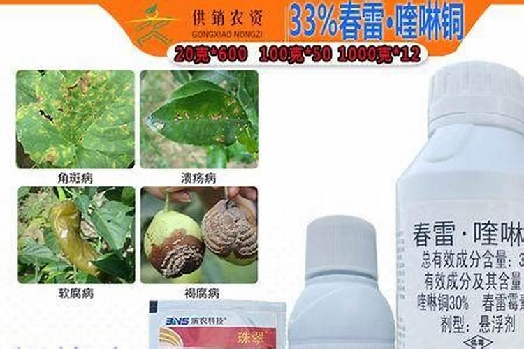 硫酸亚铁在蓝莓中的使用方法