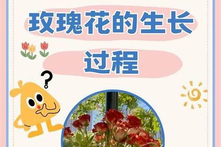 氮钾水溶肥撒到叶子上烧叶面吗？