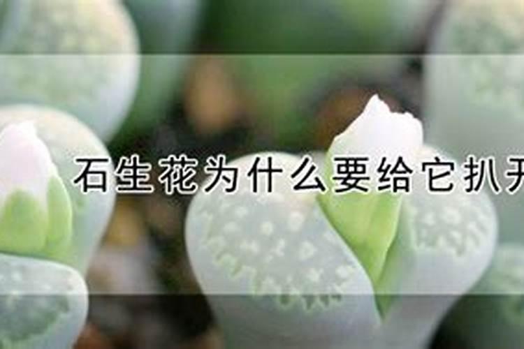 磷酸钾的作用 磷酸钾的作用是什么