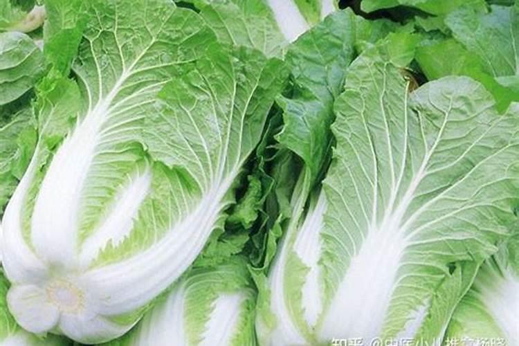白菜地成红色是怎么回事