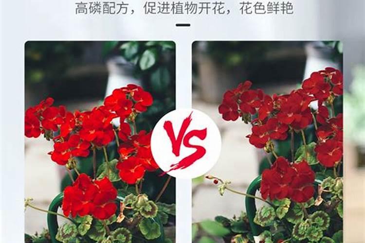 叶面肥配方包含什么物质
