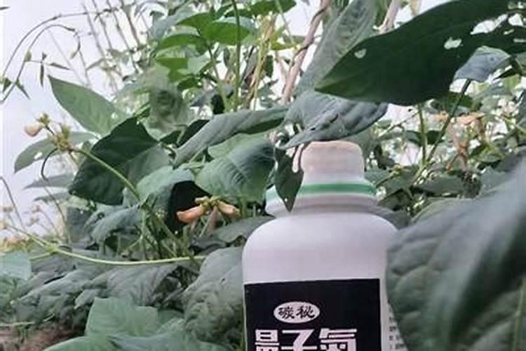 ...人类提供丰富的营养物质.请填空:(1)检验一种化肥是铵盐