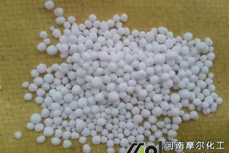 山东主要的农作物是什么
