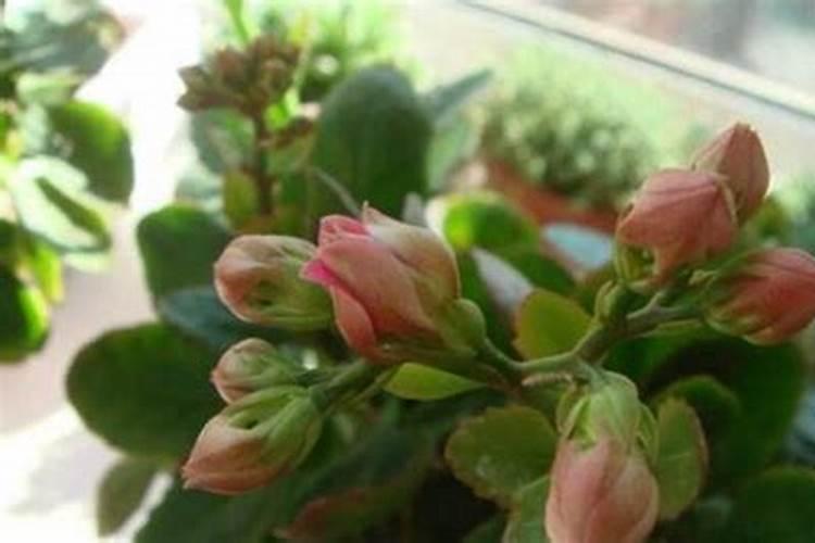 蔬菜籽几天浇一次水 刚种下的蔬菜籽多长时间浇一次水