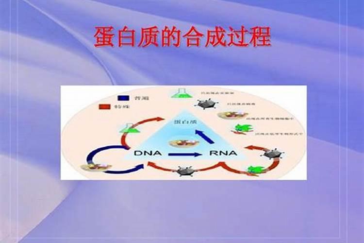鱼蛋白的制作方法