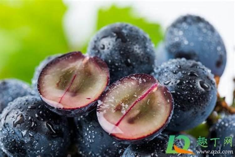 发酵过的葡萄皮可以做肥料吗
