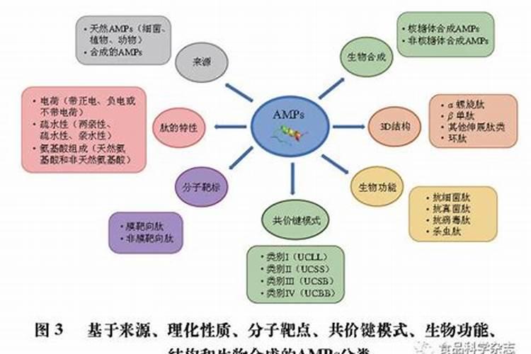 海藻精是酶解的好还是多肽好