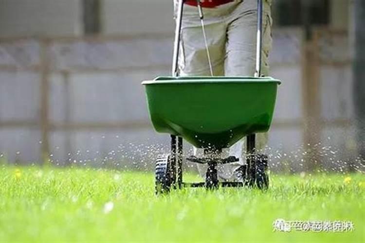 草坪夏天可以施肥吗