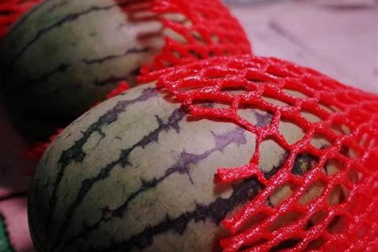 种西瓜需要什么肥料