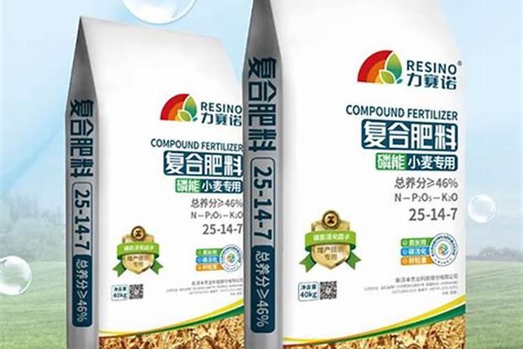 种小麦用什么肥料好
