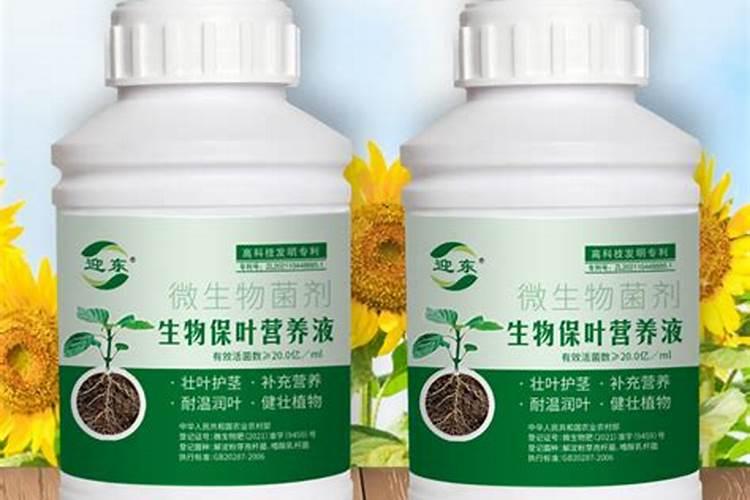 化肥品牌排行榜(水溶肥十大品牌)