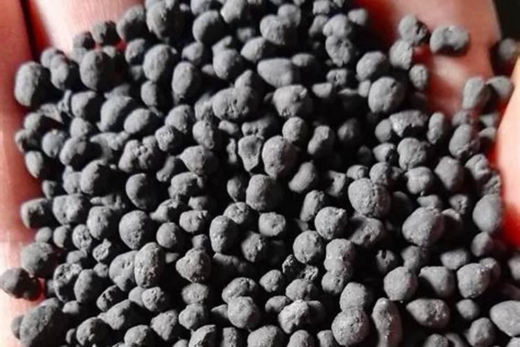 洋葱用什么肥料最好