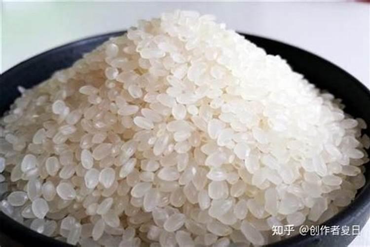 孔雀竹芋施什么肥最好